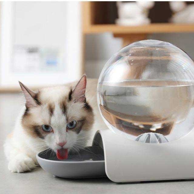 Pet Feeder