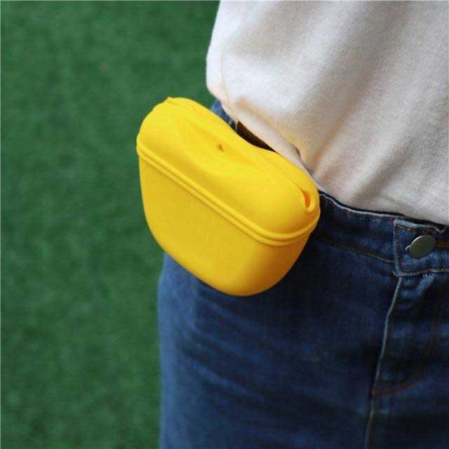 Pets Accessories