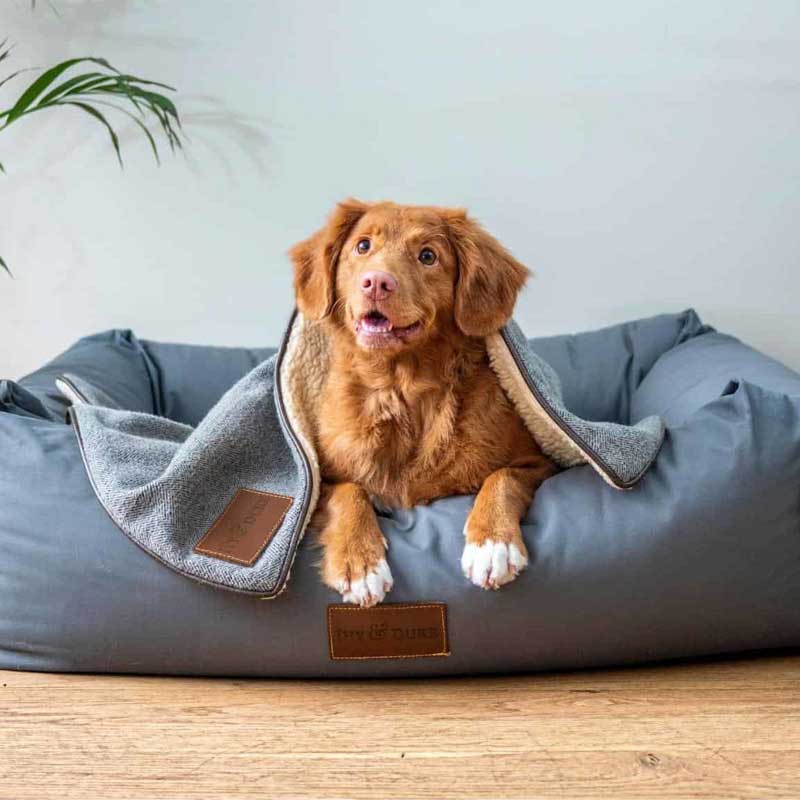 Pet Beds