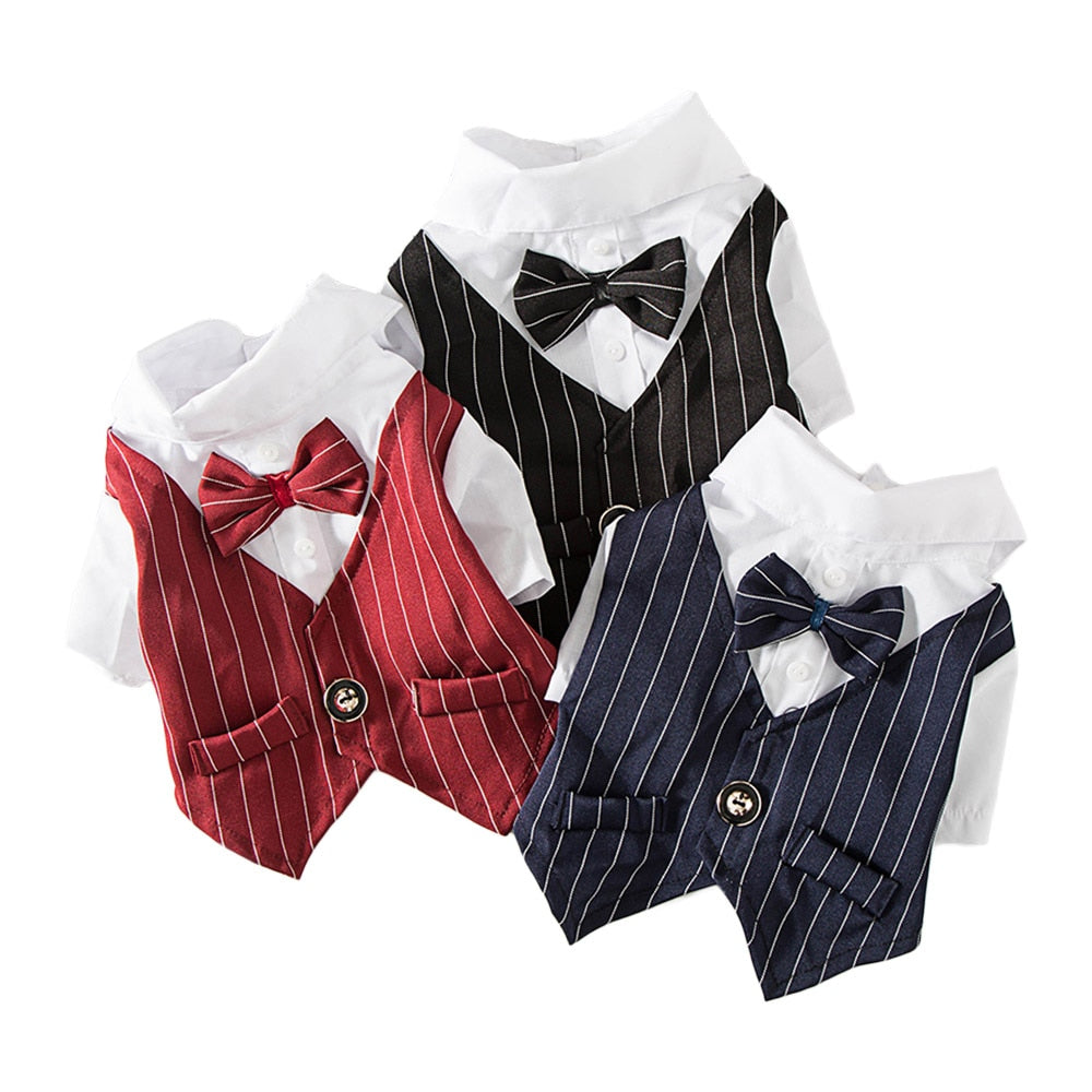 Gentleman Dog Clothes