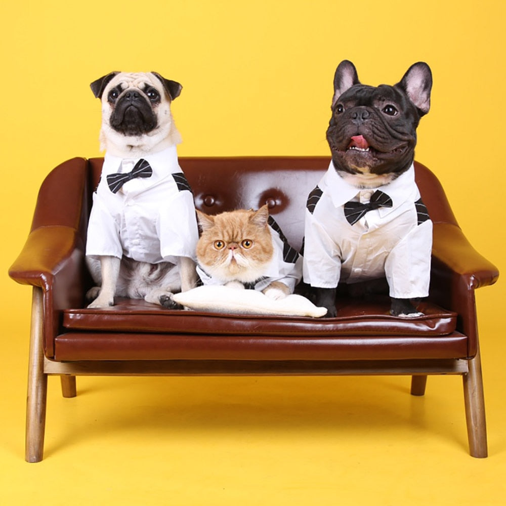 Gentleman Dog Clothes