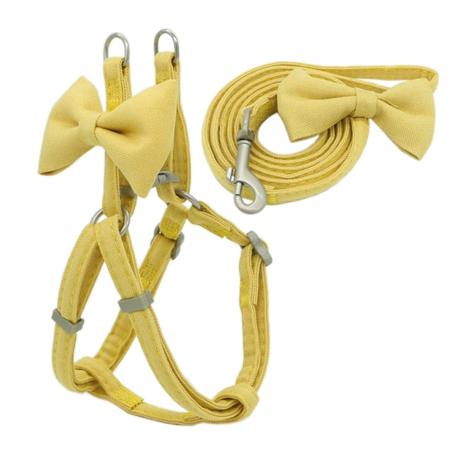Bow Harness + Matching Lead