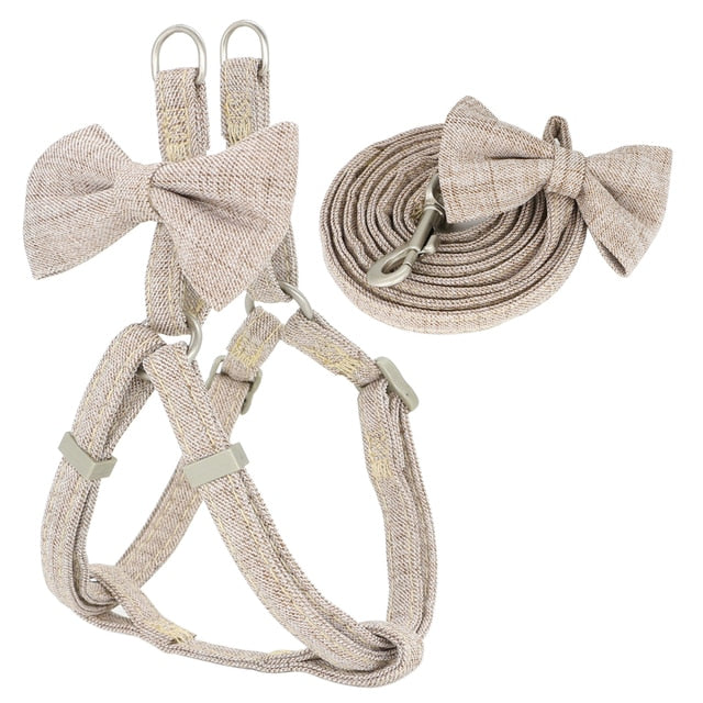 Bow Harness + Matching Lead