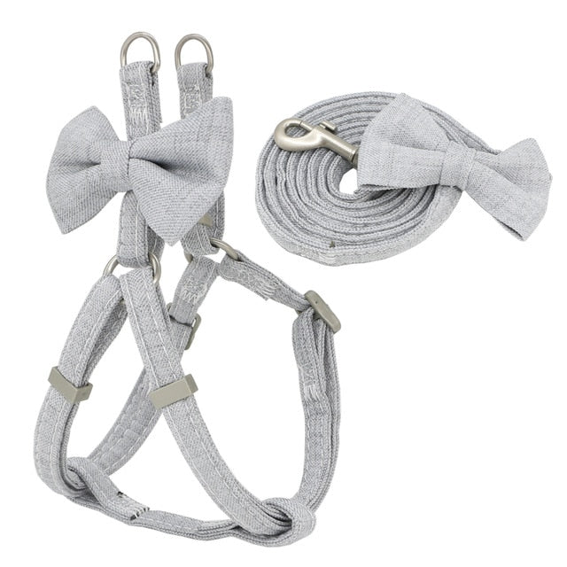 Bow Harness + Matching Lead