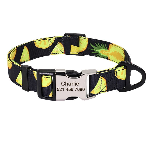 Personalized Pet ID Collars - Custom
