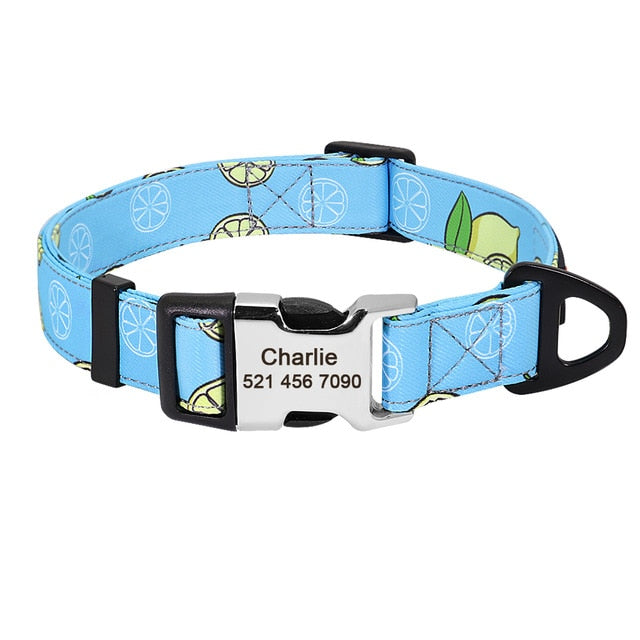 Personalized Pet ID Collars - Custom