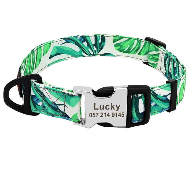 Personalized Pet ID Collars - Custom