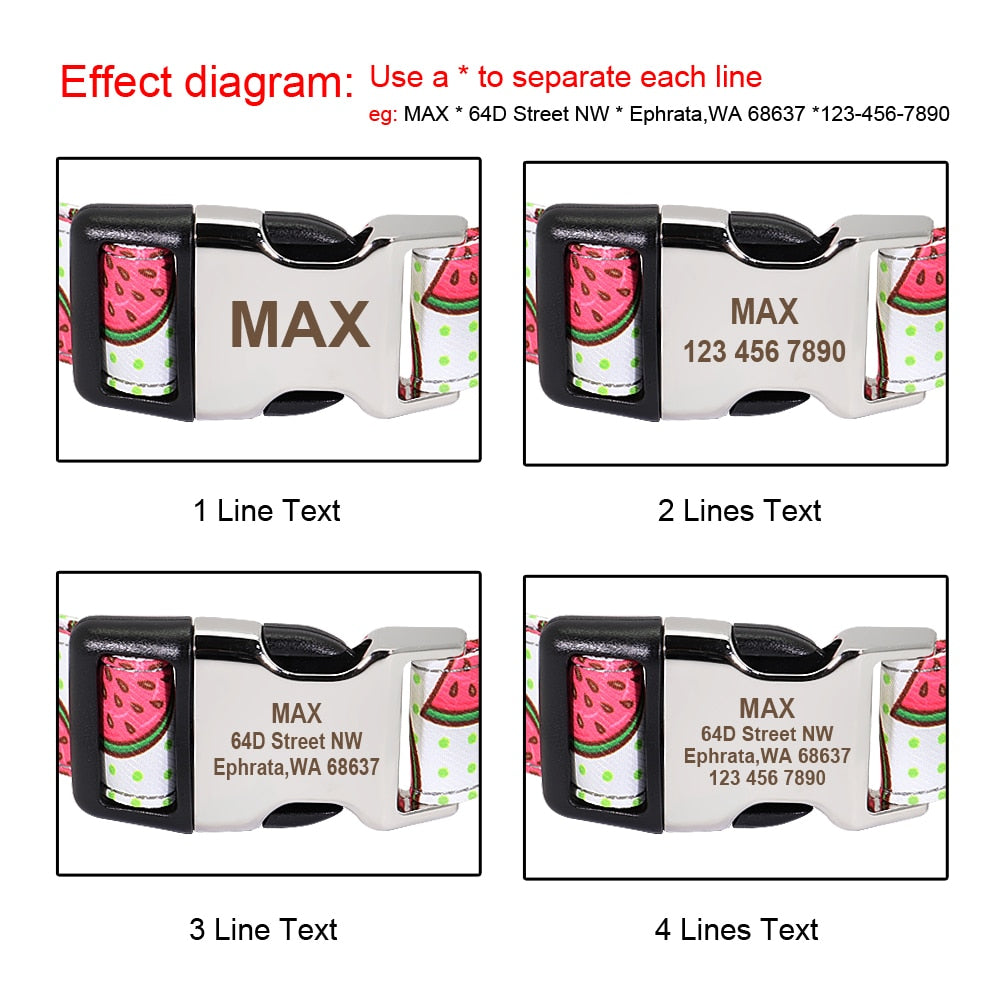 Personalized Pet ID Collars - Custom
