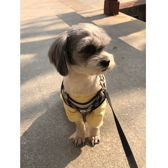 Basic Ribbed Pet-T