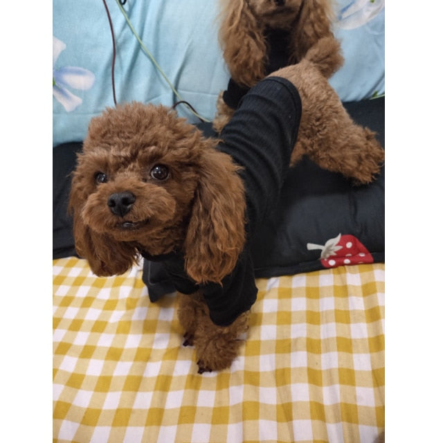 Basic Ribbed Pet-T