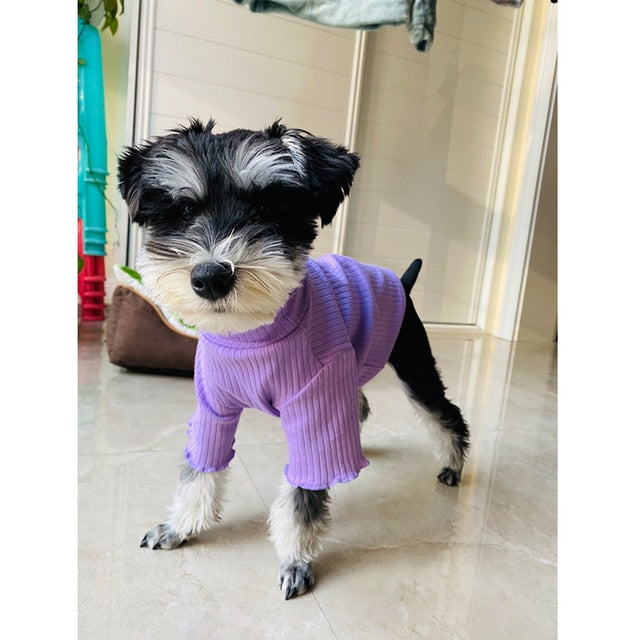 Basic Ribbed Pet-T