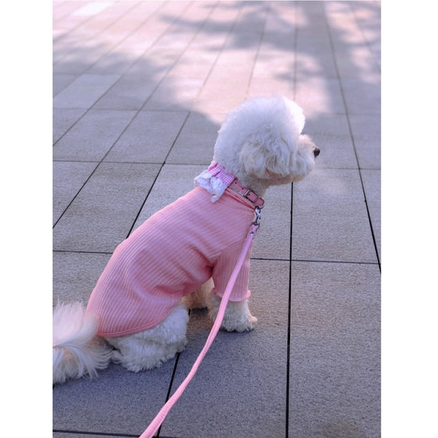 Basic Ribbed Pet-T