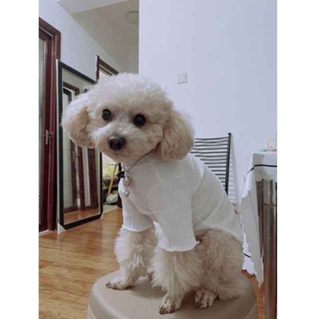 Basic Ribbed Pet-T