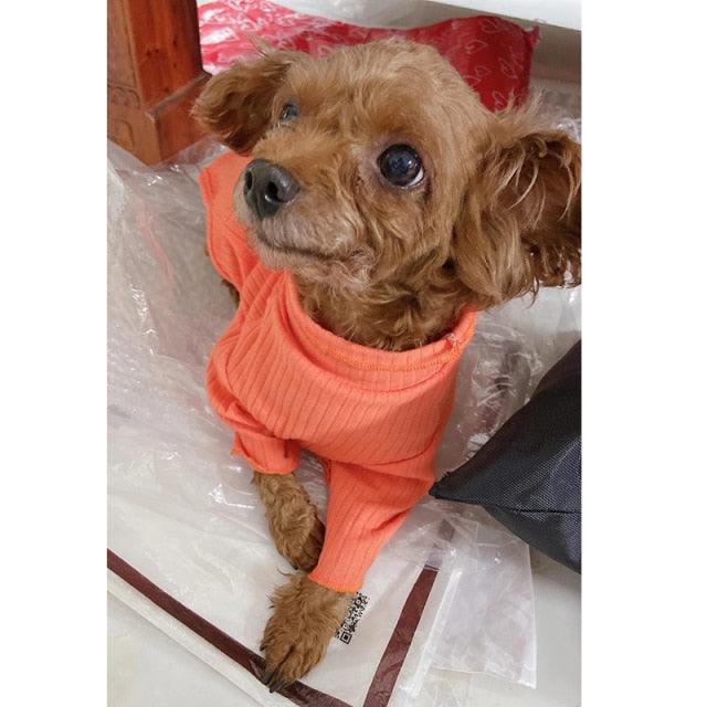 Basic Ribbed Pet-T