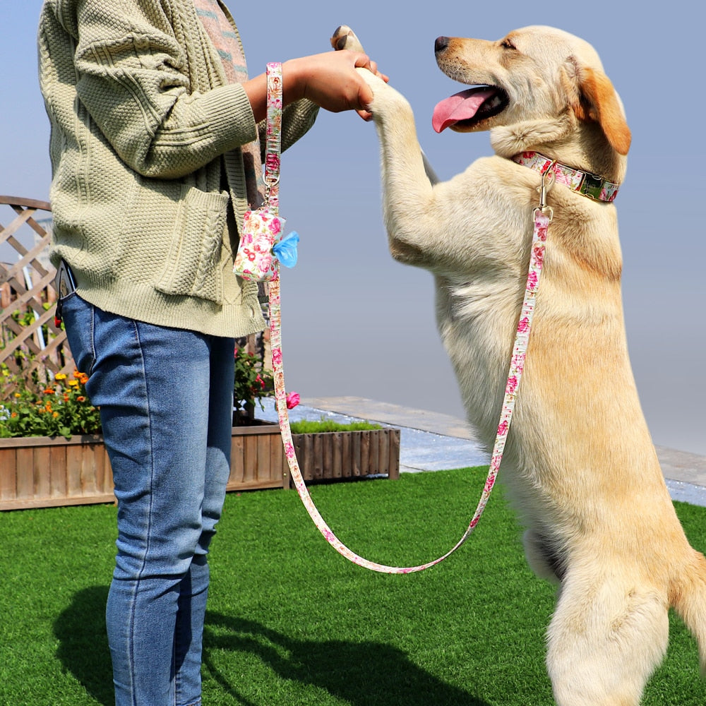 Custom Engraved - Flower Dog Collar Leash Set