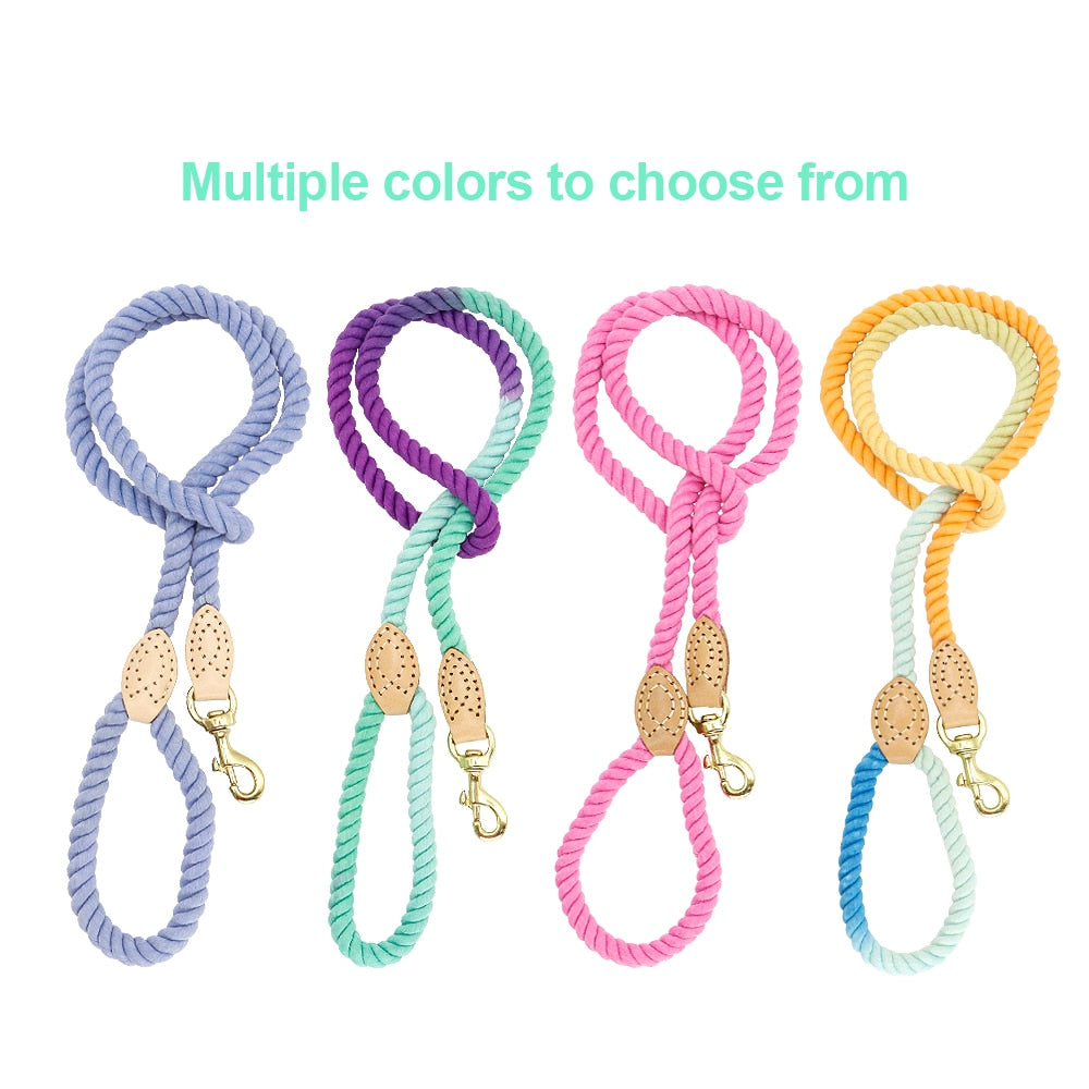 Rope Dog Lead