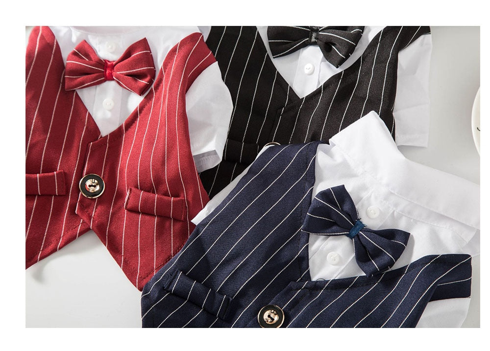 Gentleman Dog Clothes