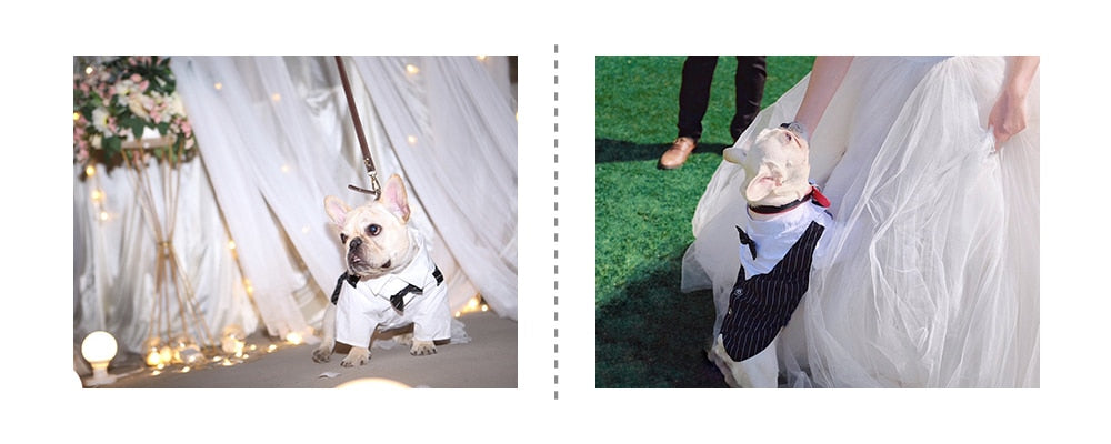 Gentleman Dog Clothes