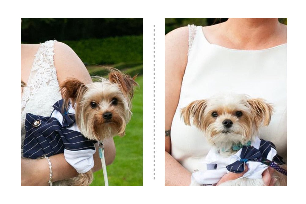 Gentleman Dog Clothes