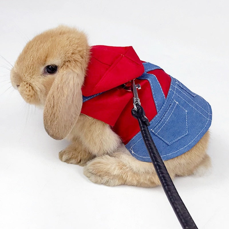 Rabbit Outfit + Harness