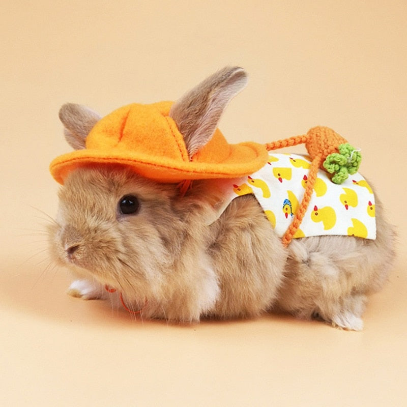 Rabbit Outfit + Harness