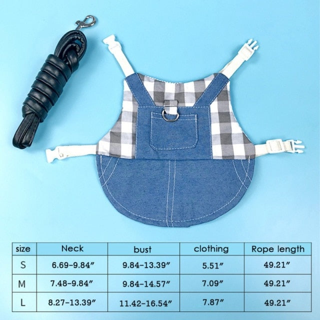 Rabbit Outfit + Harness