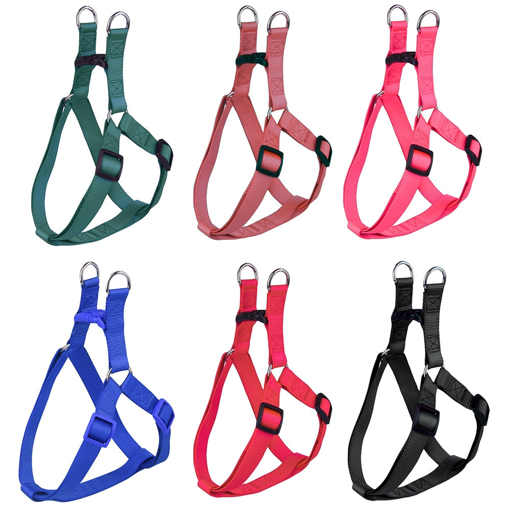 Basic Dog Harness