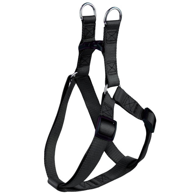 Basic Dog Harness