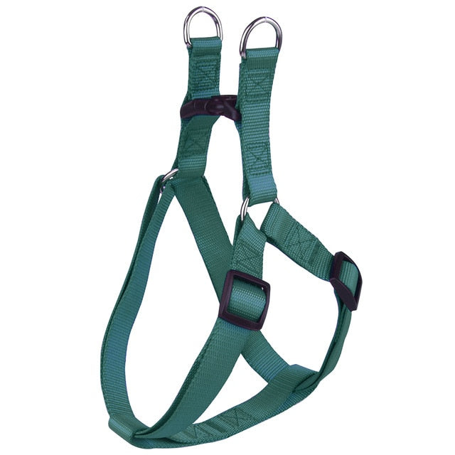 Basic Dog Harness