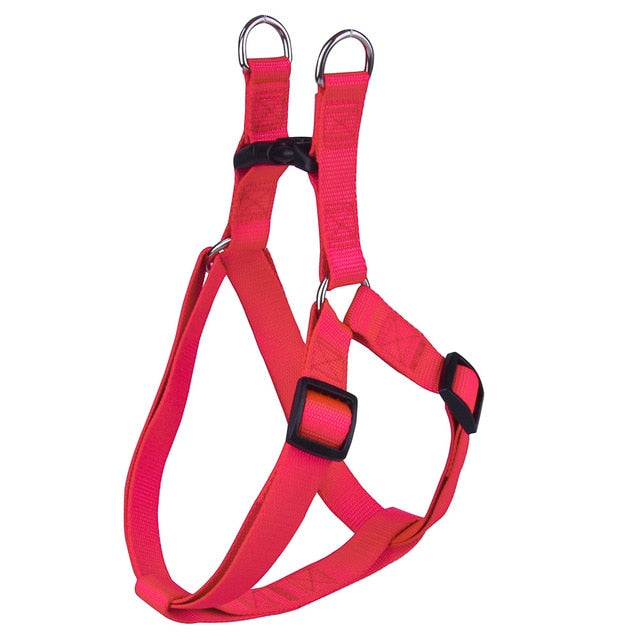 Basic Dog Harness