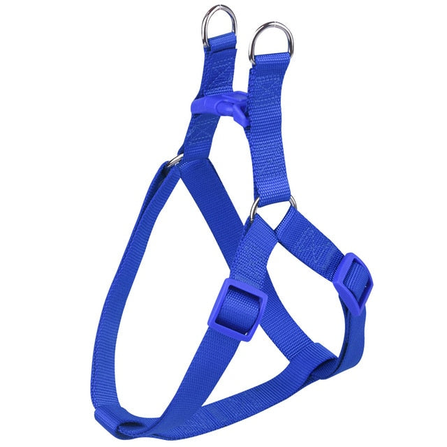 Basic Dog Harness