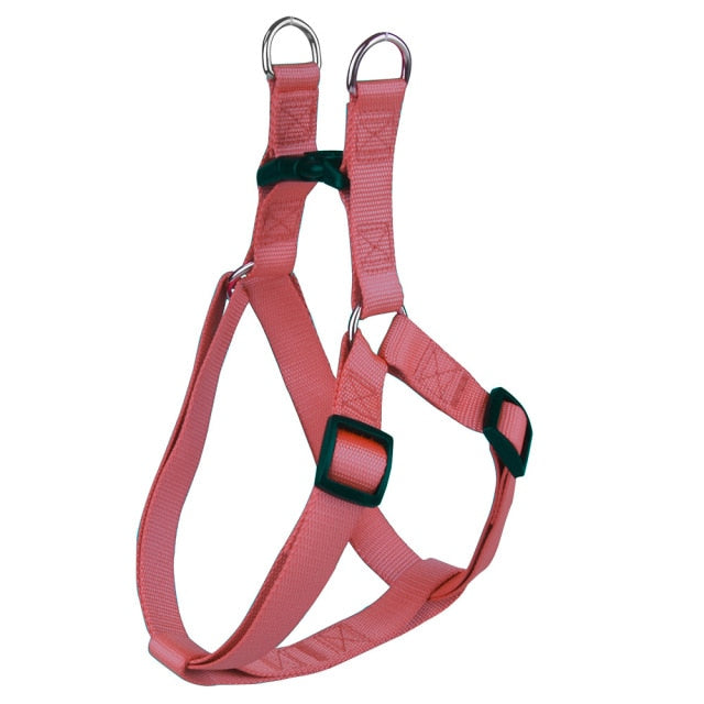 Basic Dog Harness