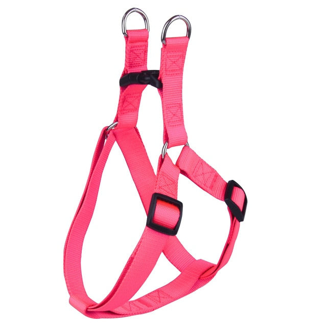 Basic Dog Harness