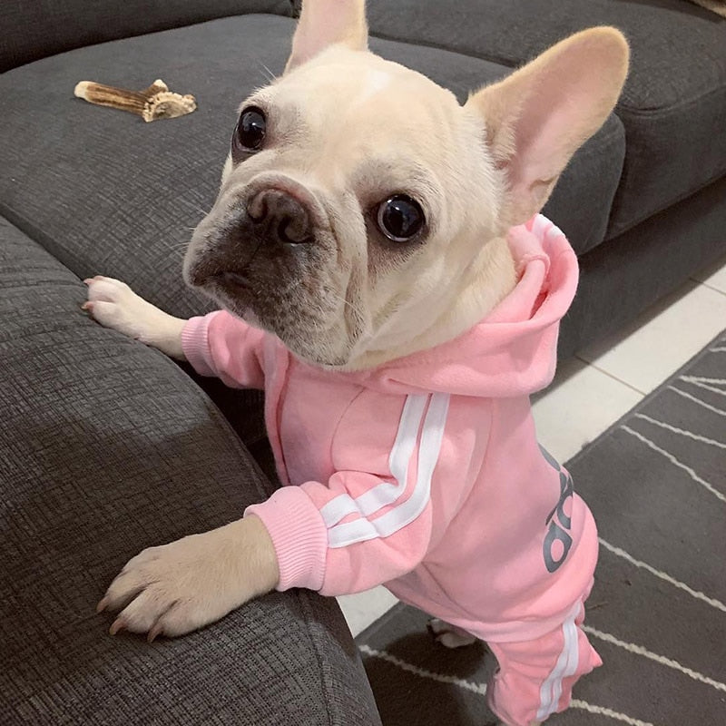 Adidog + Marvel Puppy Jump Suit