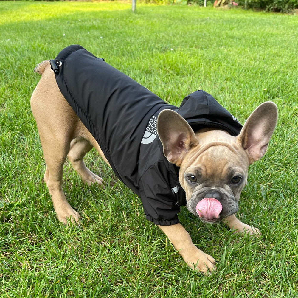 'The Dog Face'  - Authmn Jacket