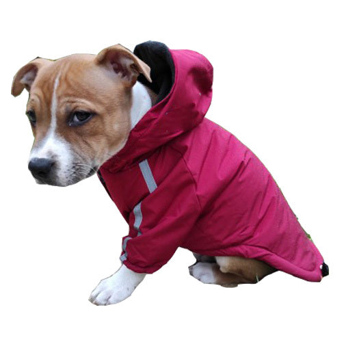 'The Dog Face'  - Authmn Jacket