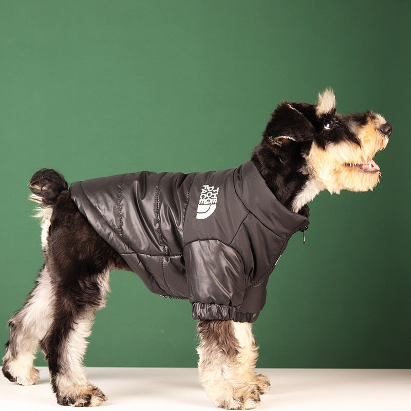 'The Dog Face' - Pooche Rain Jacket