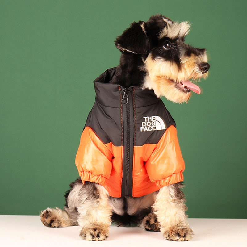 'The Dog Face' - Pooche Rain Jacket