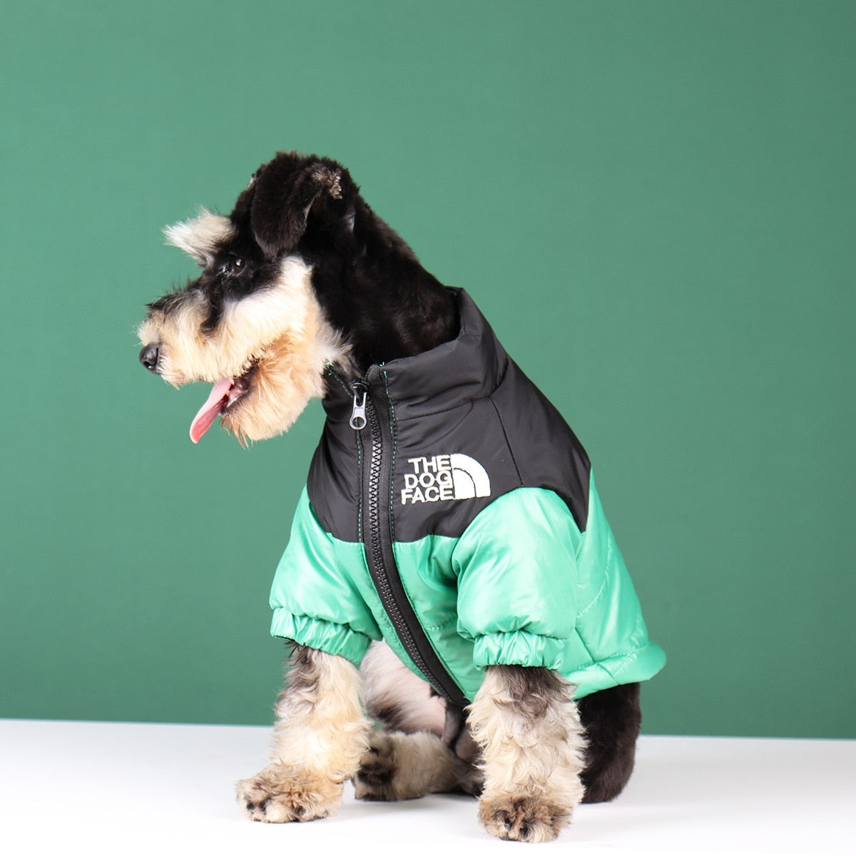 'The Dog Face' - Pooche Rain Jacket