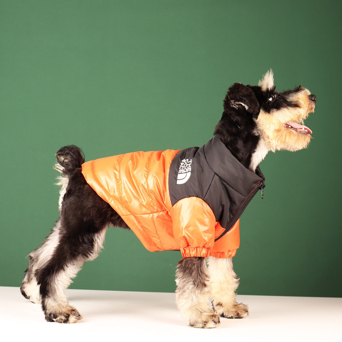 'The Dog Face' - Pooche Rain Jacket