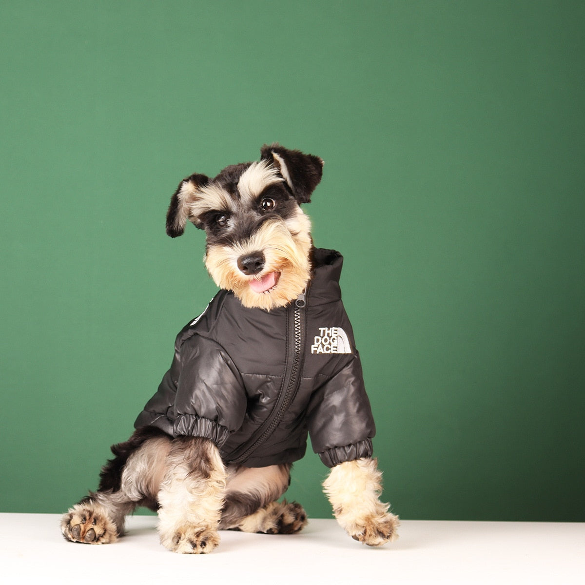 'The Dog Face' - Pooche Rain Jacket