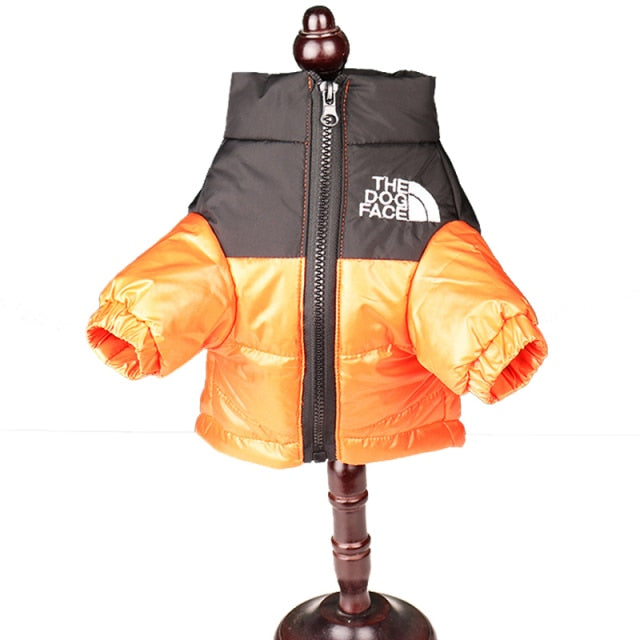 'The Dog Face' - Pooche Rain Jacket