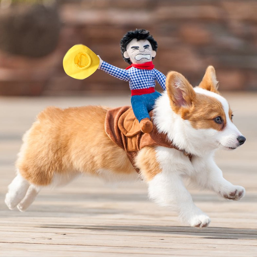 Dog Cowboy Dressup