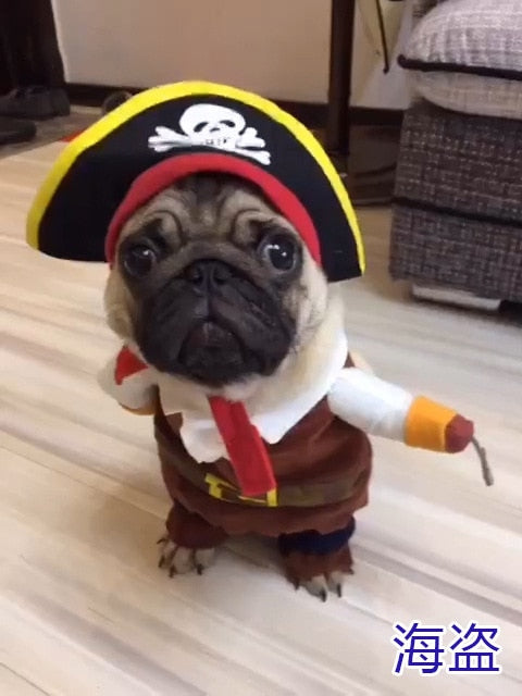 Cosplay Clothes For Small Dogs