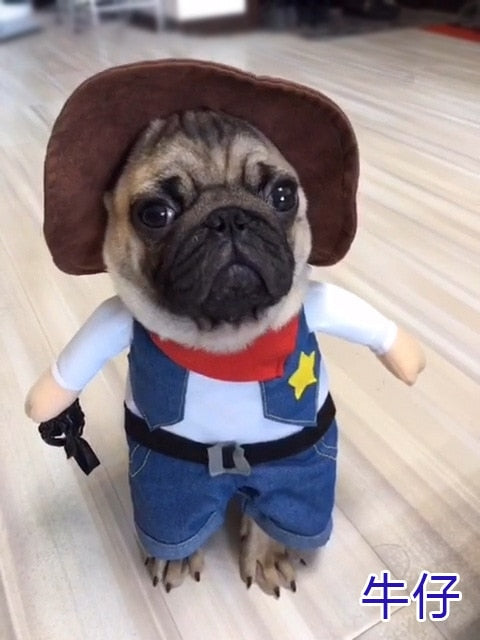 Cosplay Clothes For Small Dogs