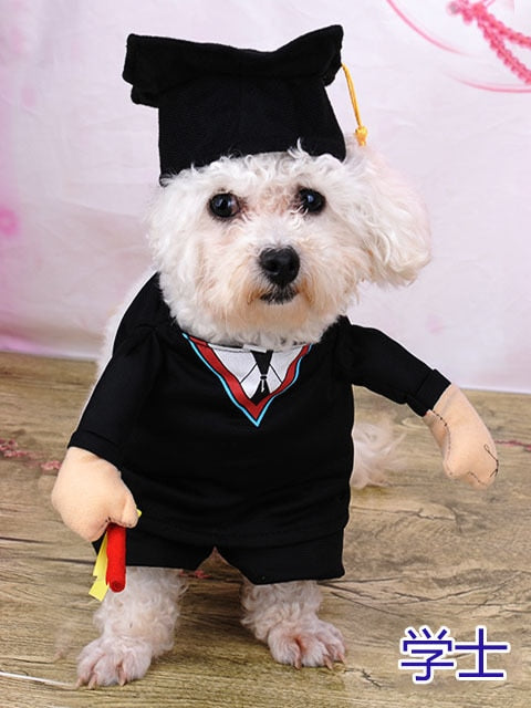 Cosplay Clothes For Small Dogs