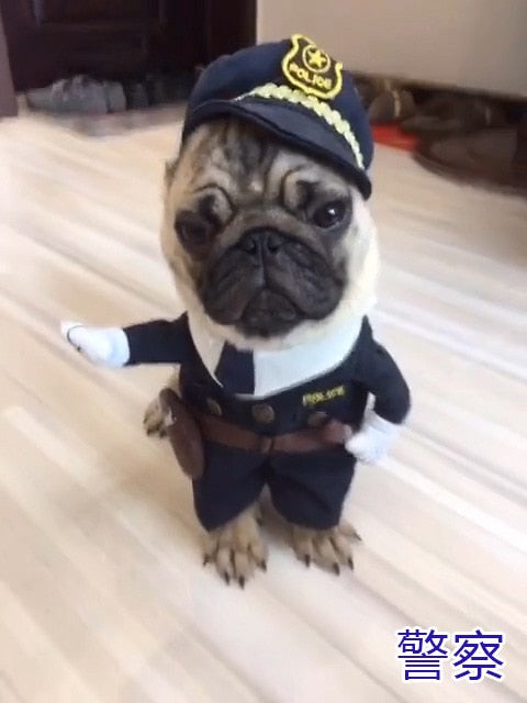 Cosplay Clothes For Small Dogs