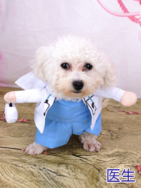 Cosplay Clothes For Small Dogs