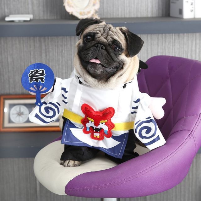 Cosplay Clothes For Small Dogs