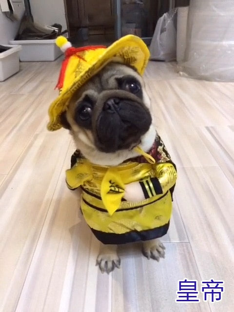 Cosplay Clothes For Small Dogs